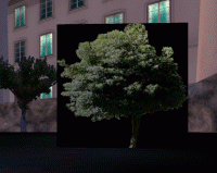 post-6841-1286891740_thumb.gif